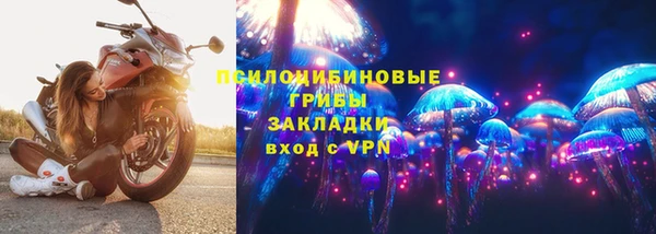a pvp Арсеньев