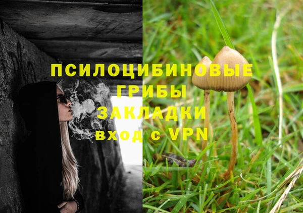 эйфоретик Армянск