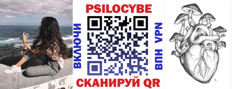 купить закладку  Рудня  Галлюциногенные грибы MAGIC MUSHROOMS 
